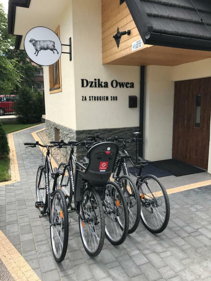 شقة Dzika Owca زاكوباني المظهر الخارجي الصورة